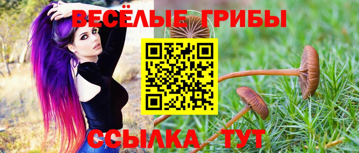 Меф МЯУ МЯУ кристаллы  Медногорск  ГАШИШ  КОКАИН  MDMA  МАРИХУАНА  Лсд 25  Вход с VPN  Мефедрон 