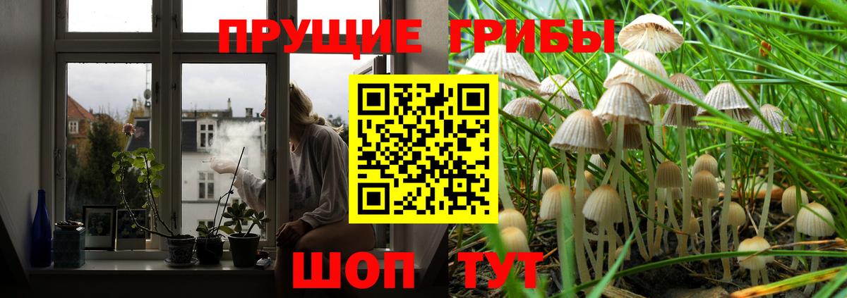 Медногорск  Галлюциногенные грибы Psilocybine cubensis  Вход с VPN  Галлюциногенные грибы мухоморы 